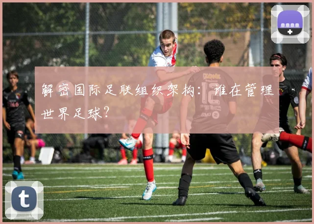 解密国际足联组织架构：谁在管理世界足球？